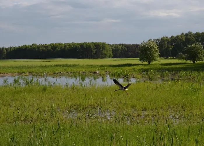 Fuerstenhof راتينو